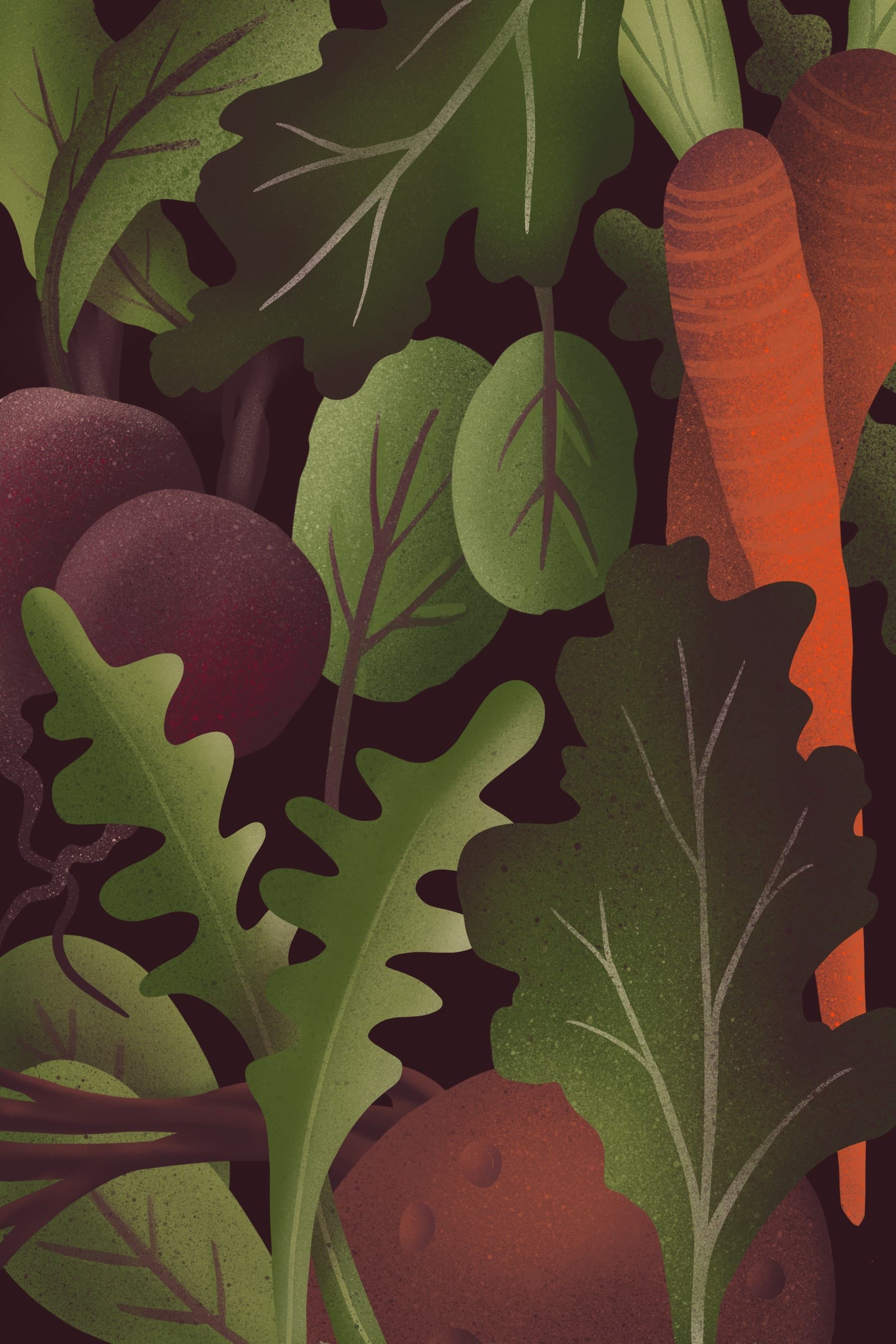 Illustration by Linzi Clary